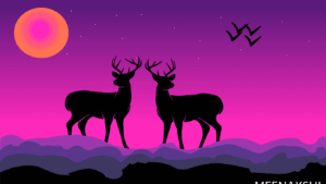 From Sketch to Screen: A Step-by-Step Guide to Graphic Design Success